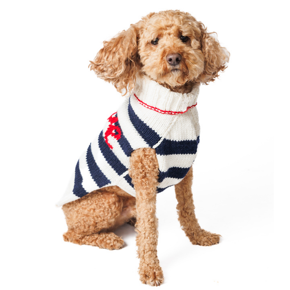 Love Note Dog Sweater