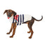 Love Note Dog Sweater