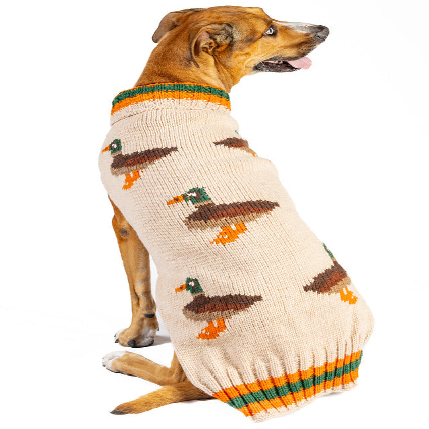 Lucky Duck Dog Sweater