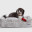 Luna Grey Corduroy Lounge Dog Bed