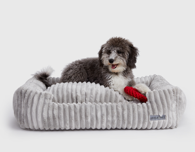 Luna Grey Corduroy Lounge Dog Bed