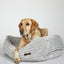 Luna Grey Napper Dog Bed with Bolsters