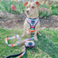 Dog Adjustable Harness - Love You Fur You