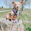 Dog Leash - Love You Fur You