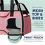 Luxury Rider Pet Carrier with Removable Wheels and Telescopic Handle
