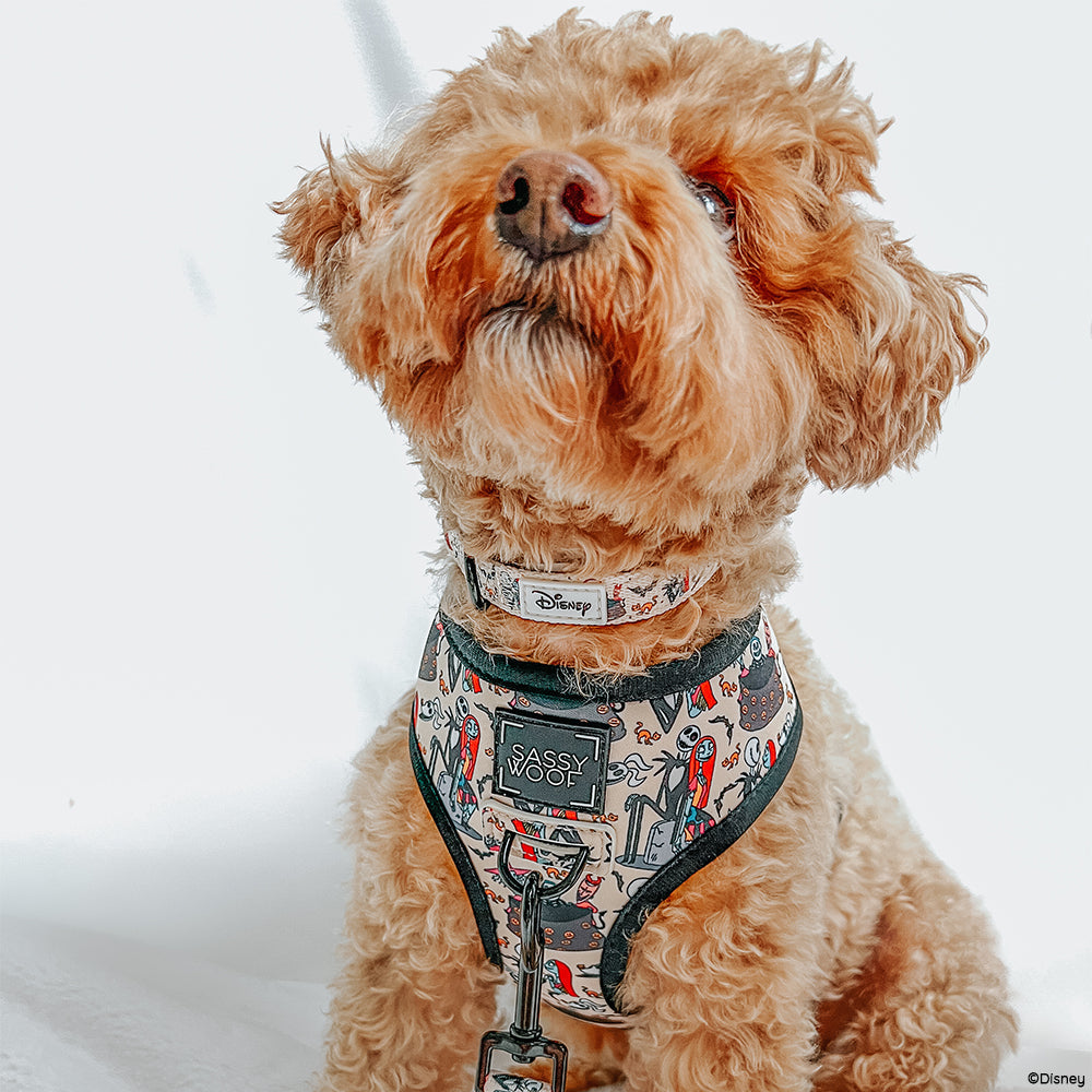 Dog Collar - The Nightmare Before Christmas™ (Beige)