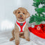 Dog Adjustable Harness - Naughty