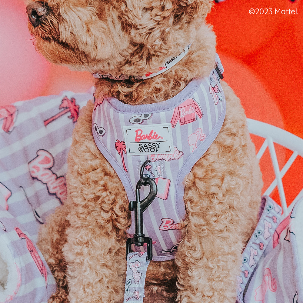 Dog Adjustable Harness - BARBIE™ Closet Goals
