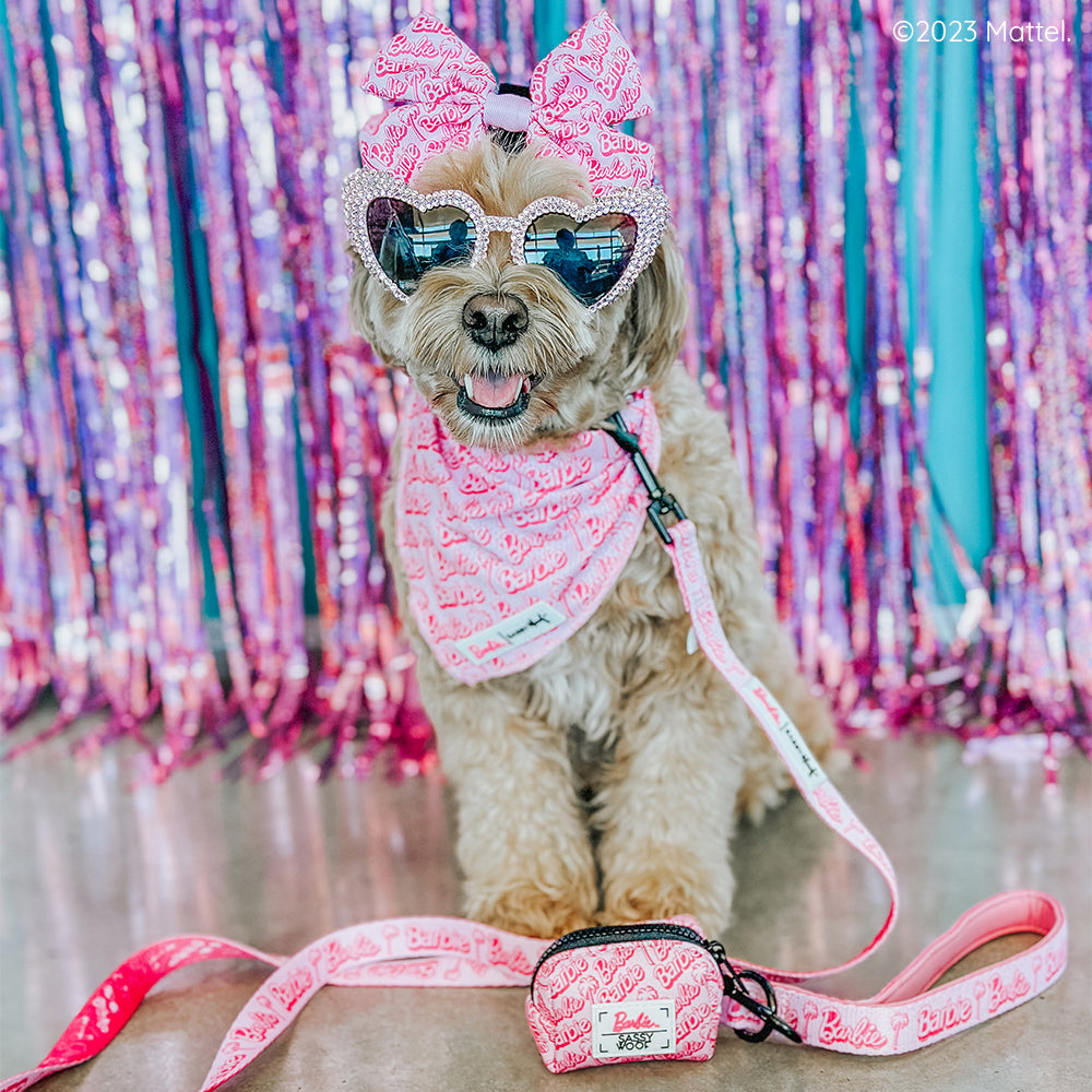 Dog Leash - BARBIE™ Malibu