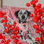 Dog Reversible Harness - Dolce Rose