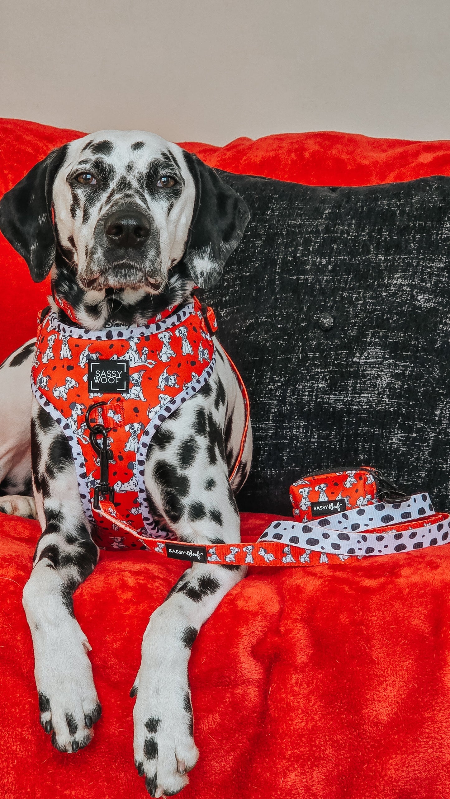 Dog Adjustable Harness - Disney's 101 Dalmatians