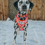 Dog Adjustable Harness - Hello Kitty® Red Classic