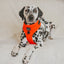 Dog Adjustable Harness - Neon Red