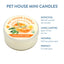 Mandarin Sage Mini Candle