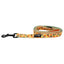 Dog Leash  - Mango Tango
