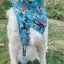 Dog Leash - The Powerpuff Girls™ (Blue)