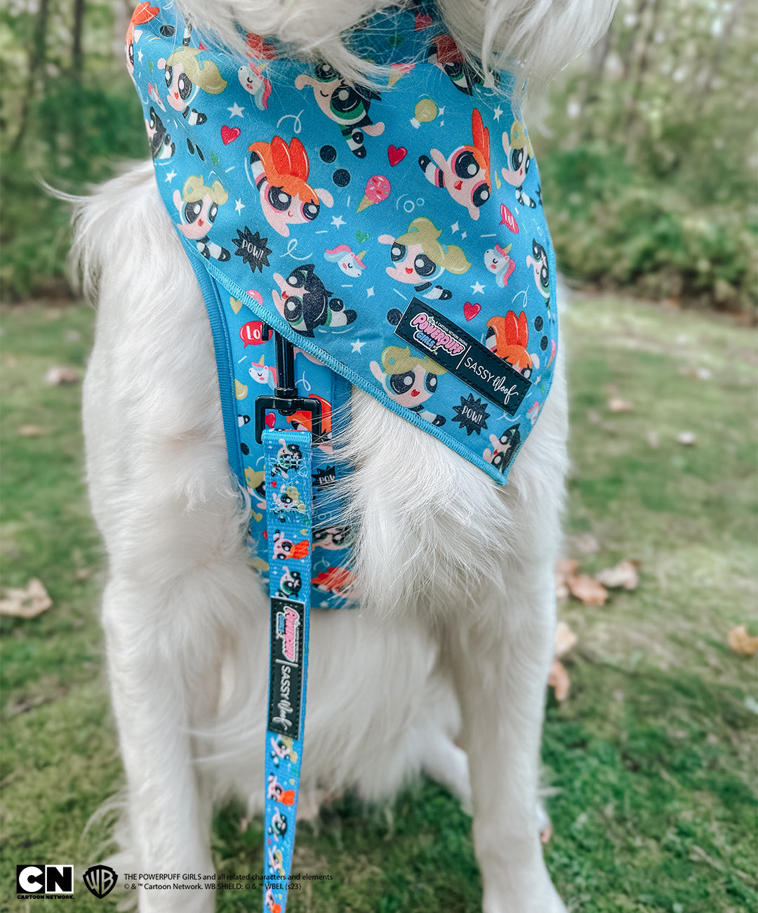 Dog Leash - The Powerpuff Girls™ (Blue)