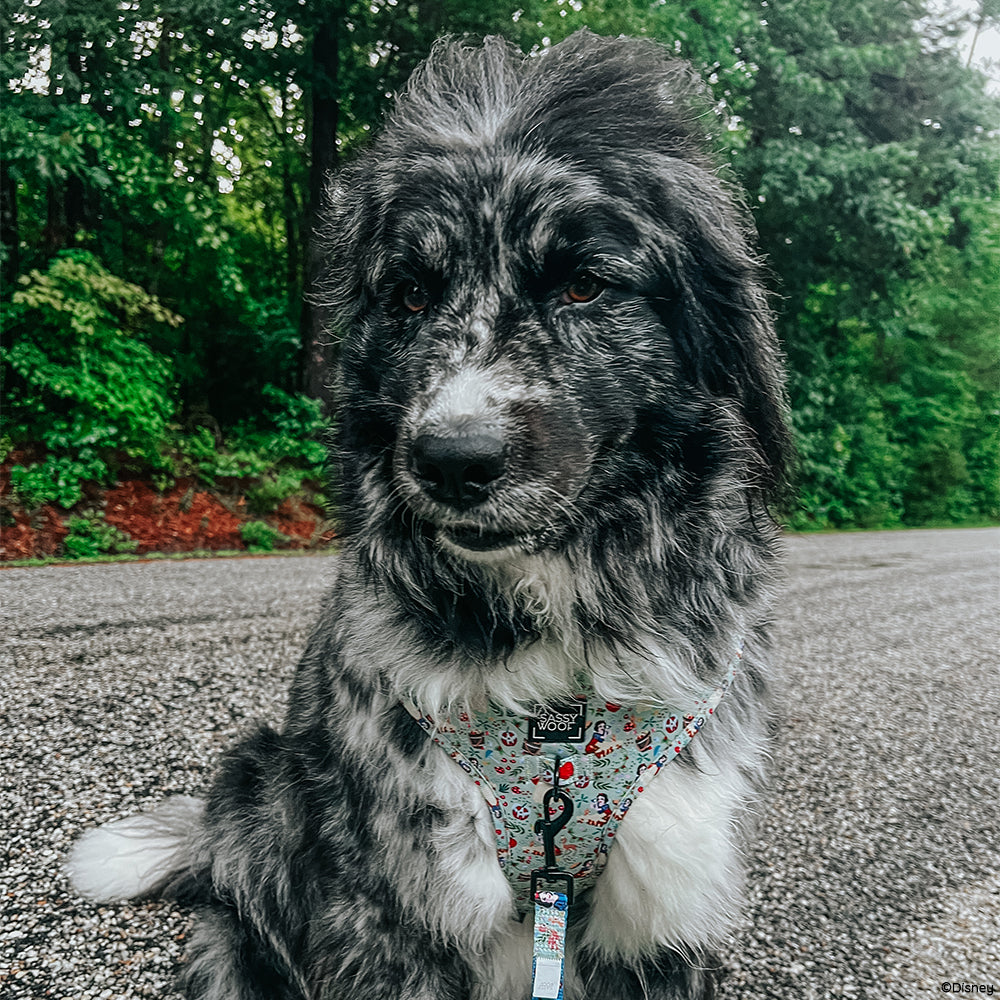 Dog Adjustable Harness - Disney's Snow White