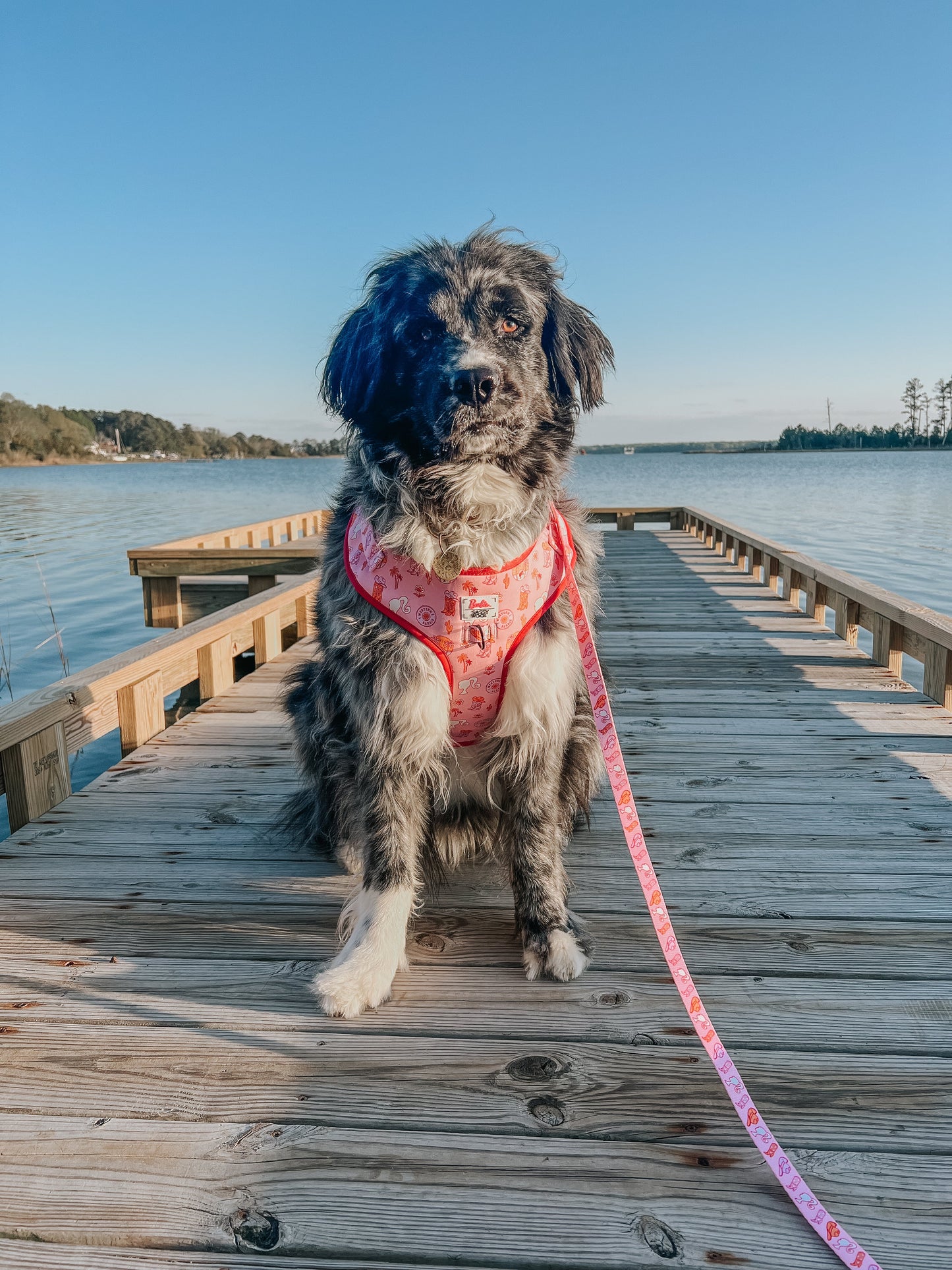 Dog Adjustable Harness - Western Barbie™