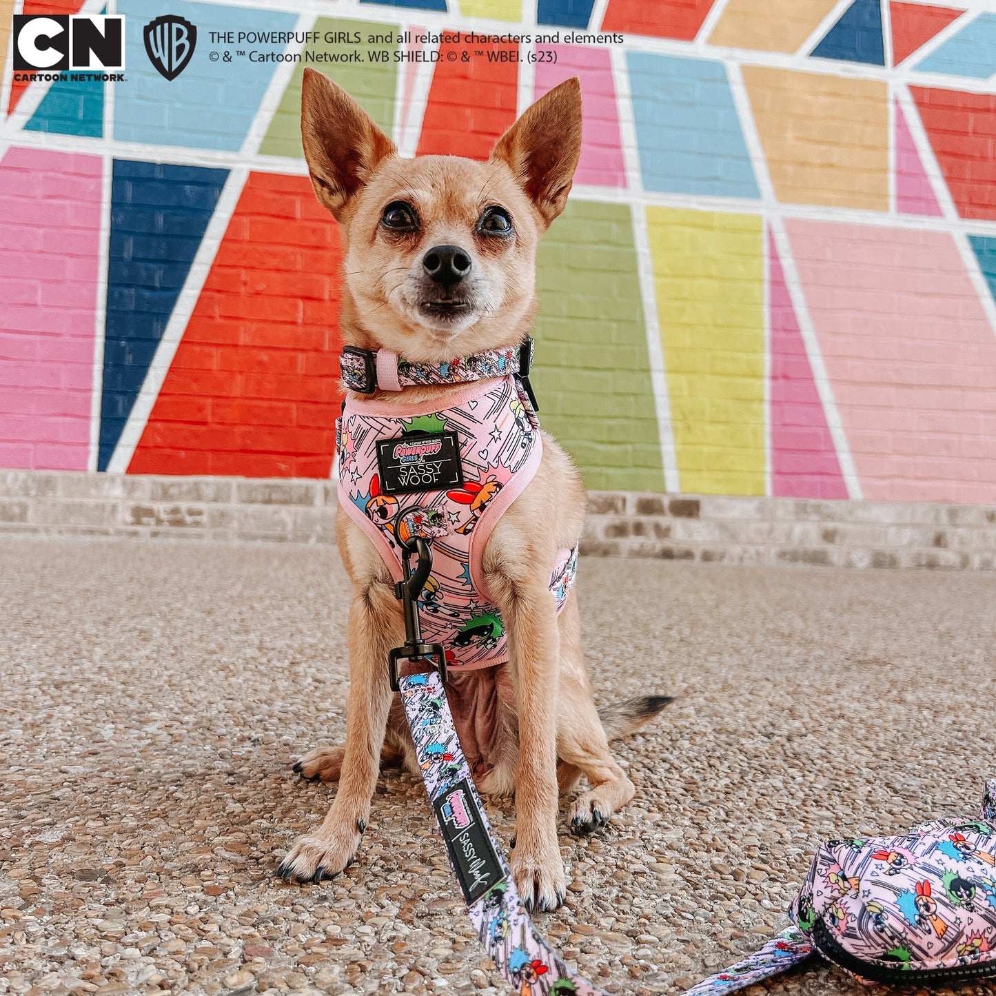 Dog Adjustable Harness - The Powerpuff Girls™ (Pink)
