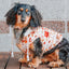Dog Reversible Sherpa Jacket - Peanuts™ Harvest