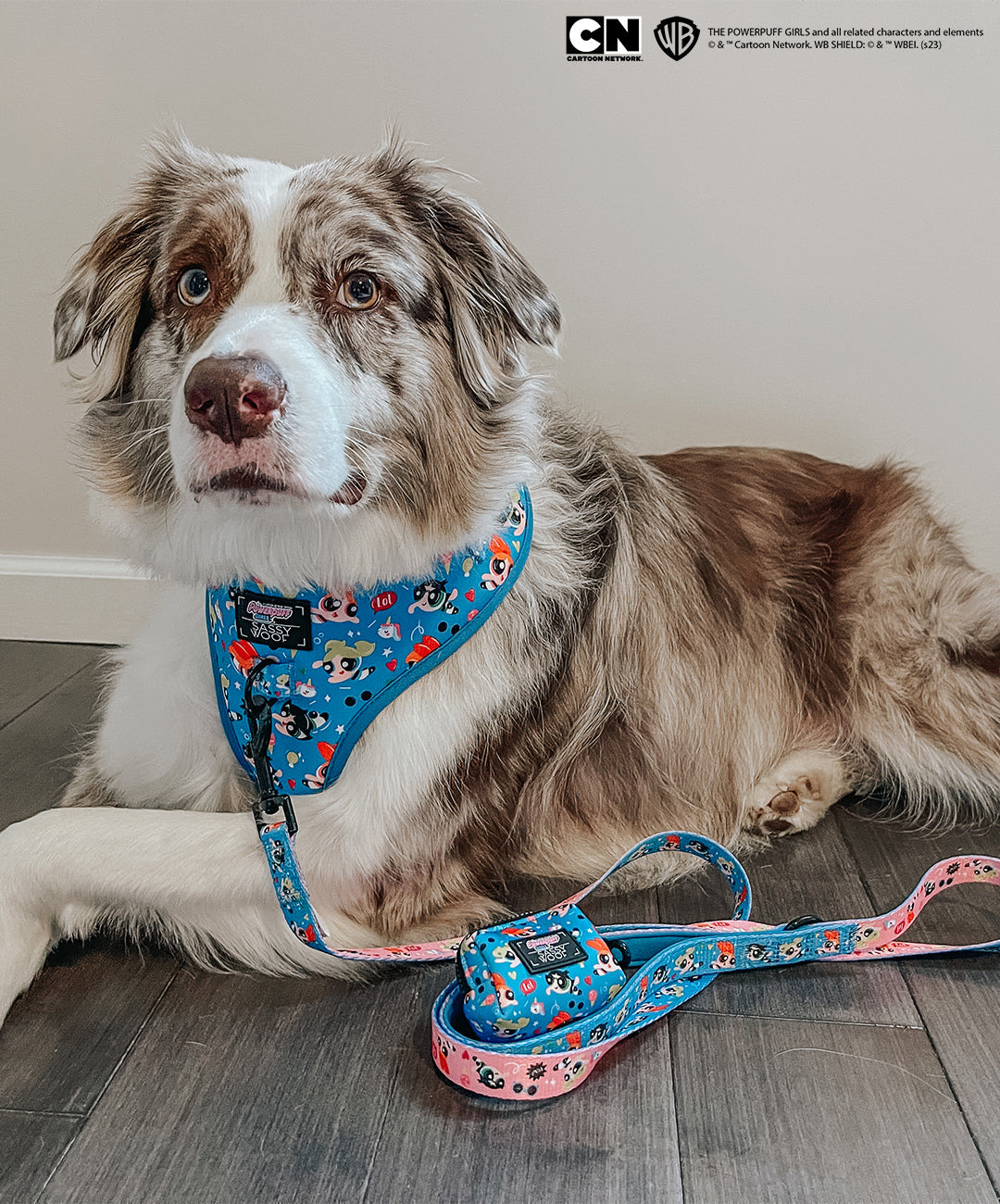 Dog Leash - The Powerpuff Girls™ (Blue)