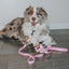 Dog Leash - Strawberry Milk