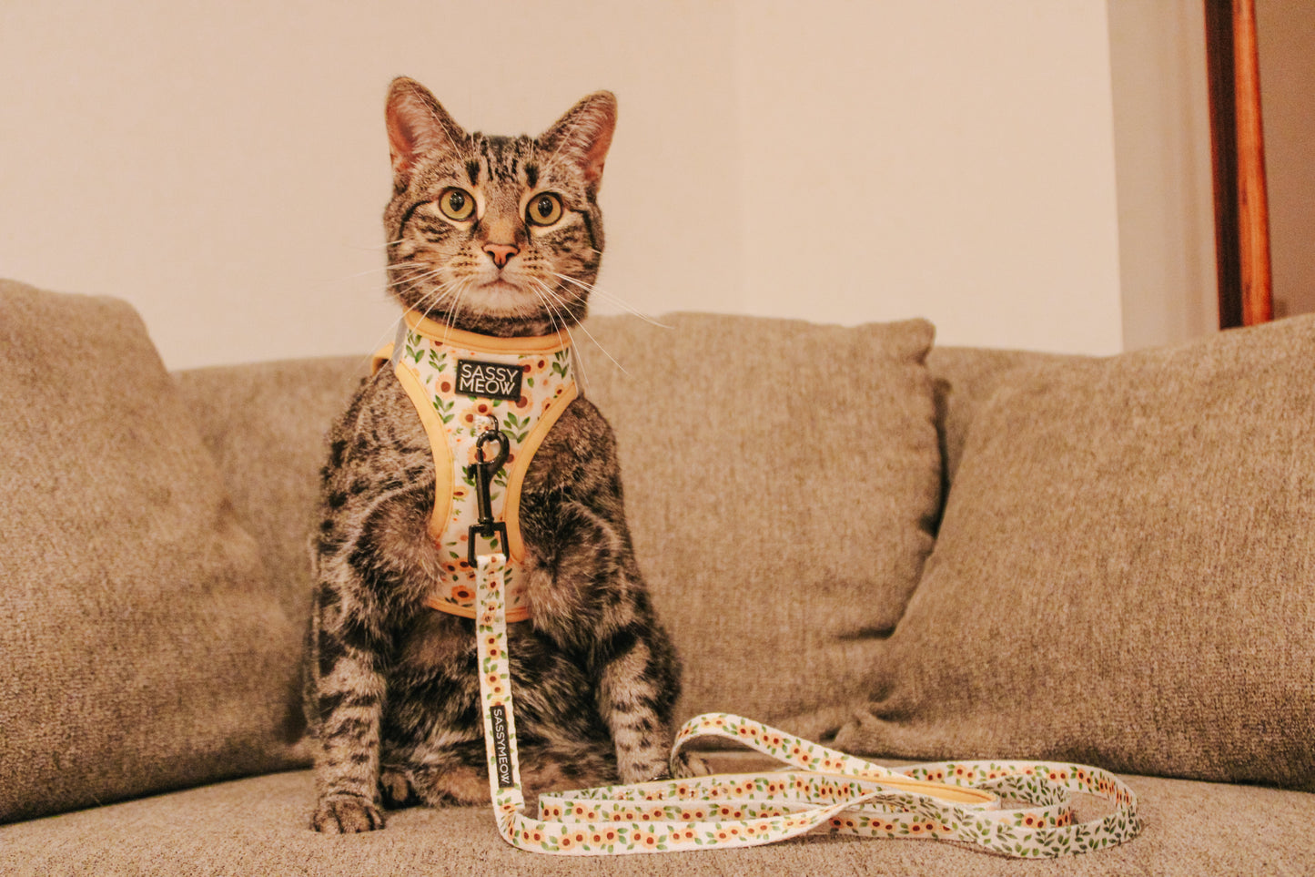 Cat Leash - Sunflower Dreams
