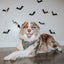 Dog Adjustable Harness - Neon Frights