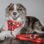 Dog Adjustable Harness - Sleigh Baby Sleigh