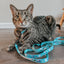 Cat Leash - Hello Kitty® Aqua