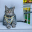Cat Step-In Harness - Sunflower Dreams