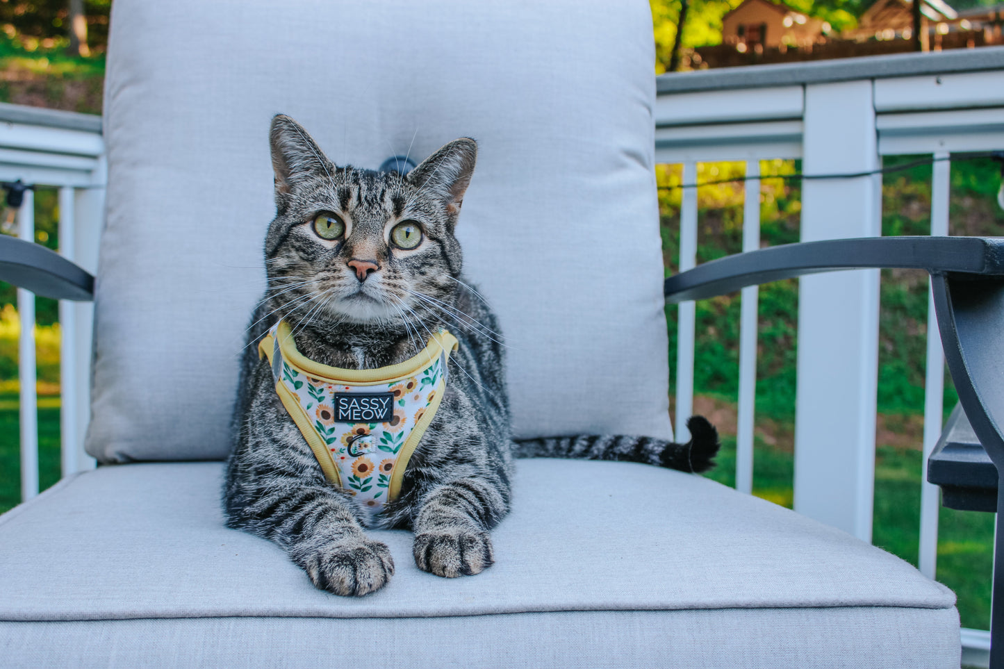Cat Step-In Harness - Sunflower Dreams