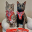 Cat Leash - Hello Kitty® Red Classic