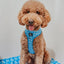 Dog Adjustable Harness - KEN™