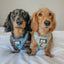 Dog Adjustable Harness - STAR WARS™ The Child™