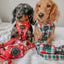 Dog Adjustable Harness - Jingle Barks