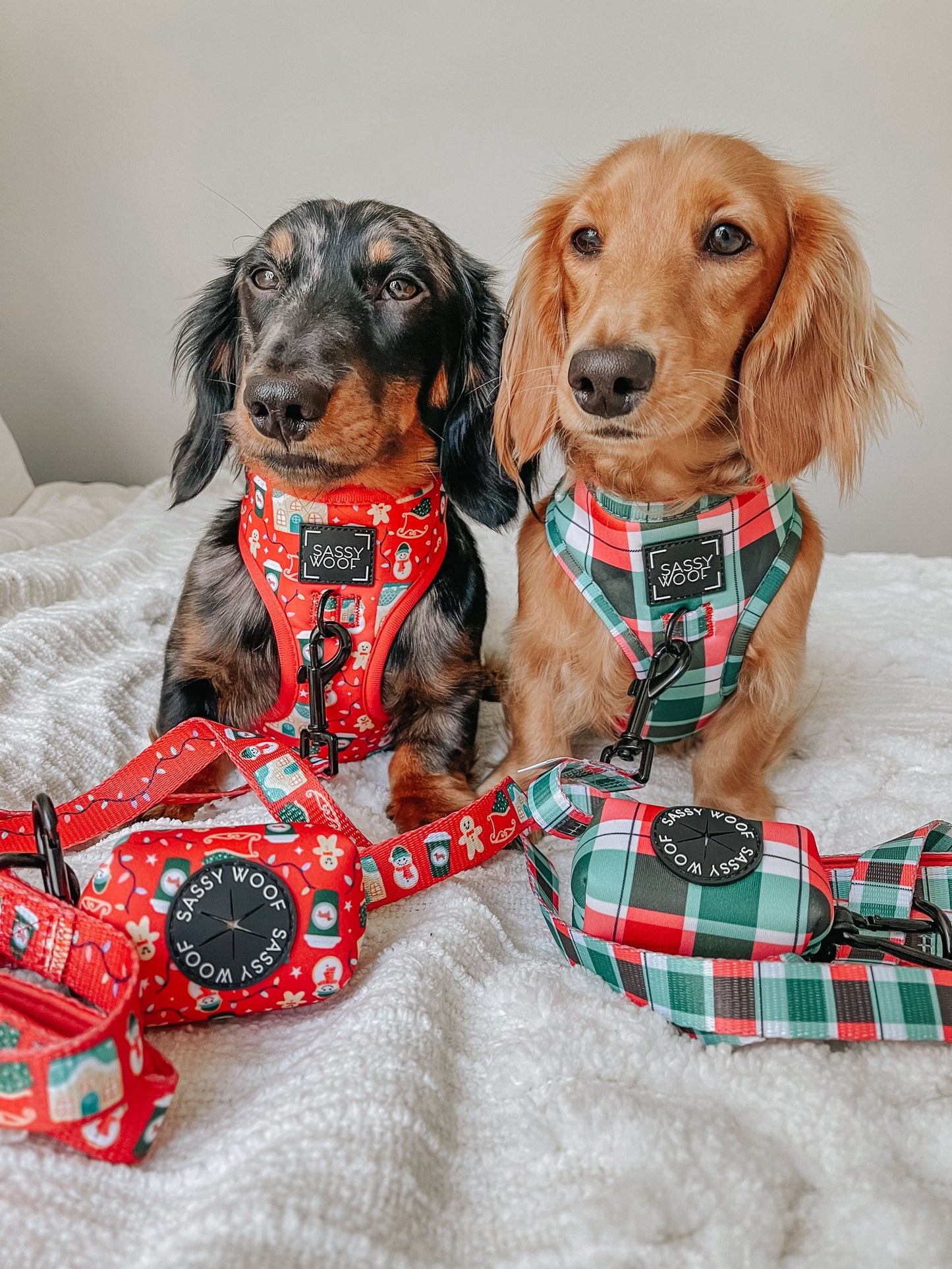 Dog Adjustable Harness - Jingle Barks