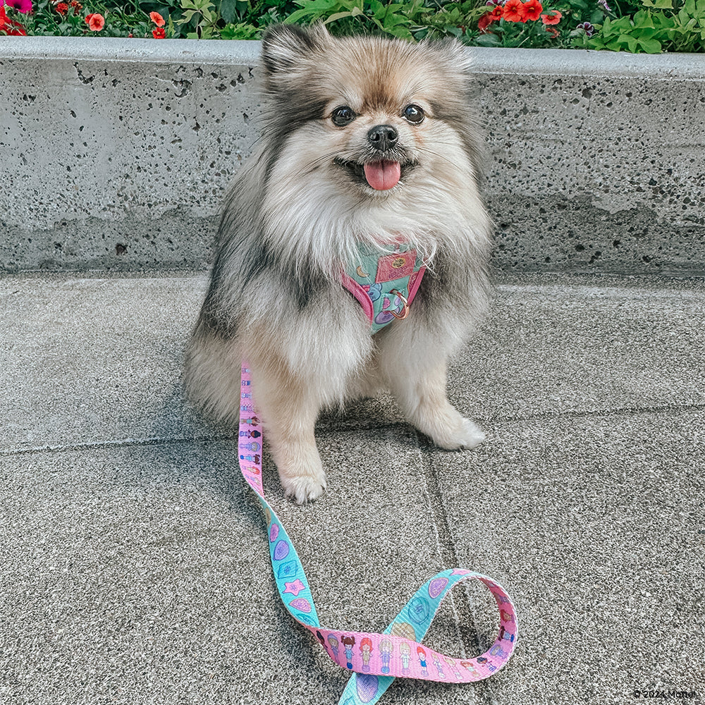 Dog Leash - Polly Pocket™