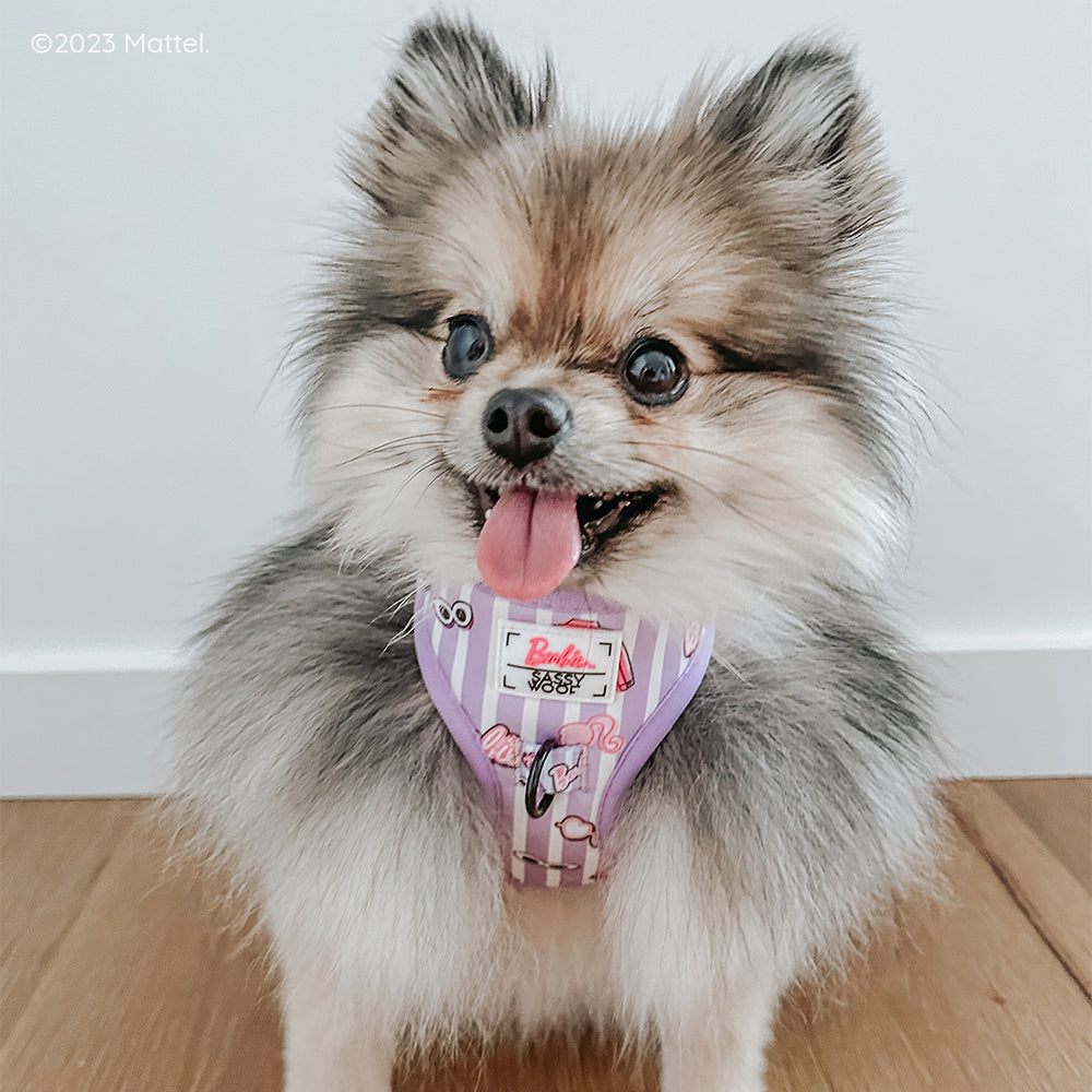 Dog Adjustable Harness - BARBIE™ Closet Goals