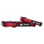 Dog Collar - MLB™ x Peanuts™ Washington Nationals™