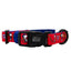 Dog Collar - MLB™ x Peanuts™ Washington Nationals™
