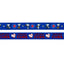 Dog Leash - MLB™ x Peanuts™ Chicago Cubs™