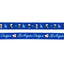 Dog Leash - MLB™ x Peanuts™ Los Angeles Dodgers™