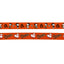 Dog Leash - MLB™ x Peanuts™ Baltimore Orioles™