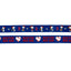 Dog Leash - MLB™ x Peanuts™ Boston Red Sox™