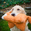 Squooshie™ Fox Plush Dog Toy