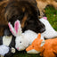 Squooshie™ Skunk Plush Dog Toy