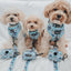 Dog Adjustable Harness - Disney's Stitch