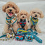 Dog Adjustable Harness - SpongeBob SquarePants™ Bikini Bottom